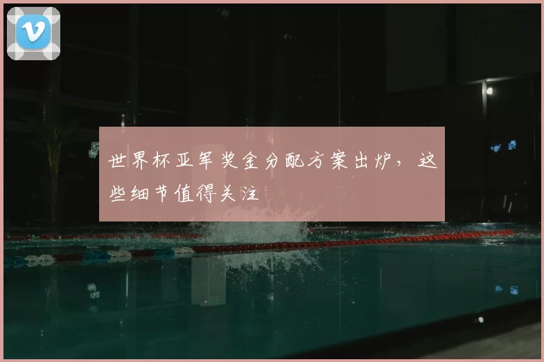 世界杯亚军奖金分配方案出炉,这些细节值得关注