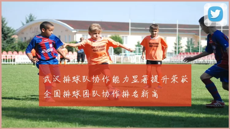 武汉排球队协作能力显著提升荣获全国排球团队协作排名新高