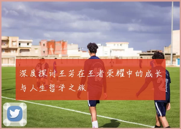 深度探讨王芳在王者荣耀中的成长与人生哲学之旅