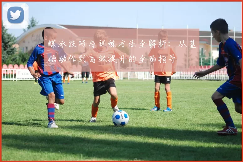 蝶泳技巧与训练方法全解析：从基础动作到高级提升的全面指导