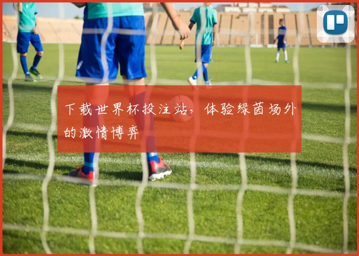 下载世界杯投注站,体验绿茵场外的激情博弈