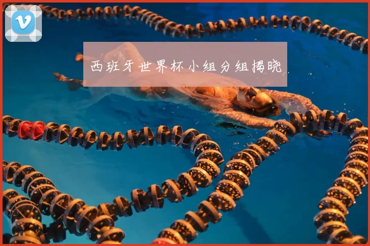 西班牙世界杯小组分组揭晓