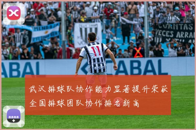 武汉排球队协作能力显著提升荣获全国排球团队协作排名新高