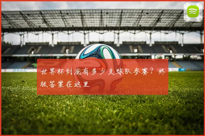 世界杯到底有多少支球队参赛？终极答案在这里