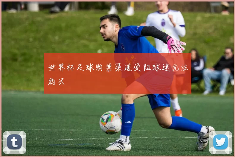 世界杯足球购票渠道受阻球迷无法购买