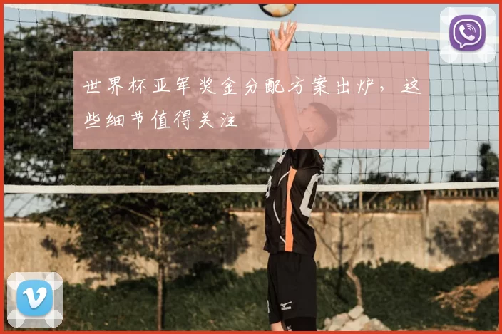 世界杯亚军奖金分配方案出炉,这些细节值得关注