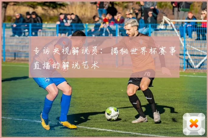 专访央视解说员:揭秘世界杯赛事直播的解说艺术