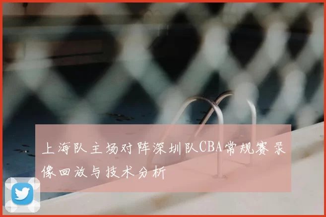 上海队主场对阵深圳队CBA常规赛录像回放与技术分析