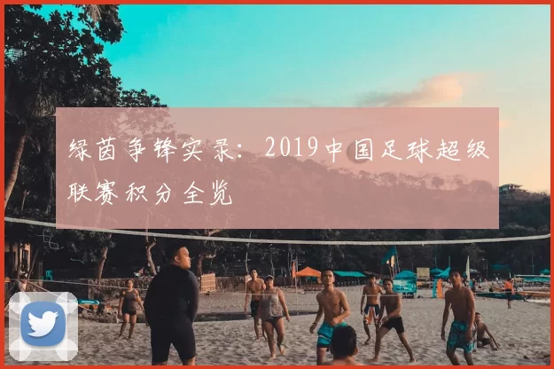 绿茵争锋实录：2019中国足球超级联赛积分全览