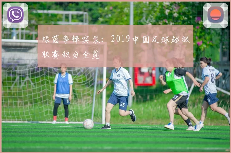 绿茵争锋实录：2019中国足球超级联赛积分全览