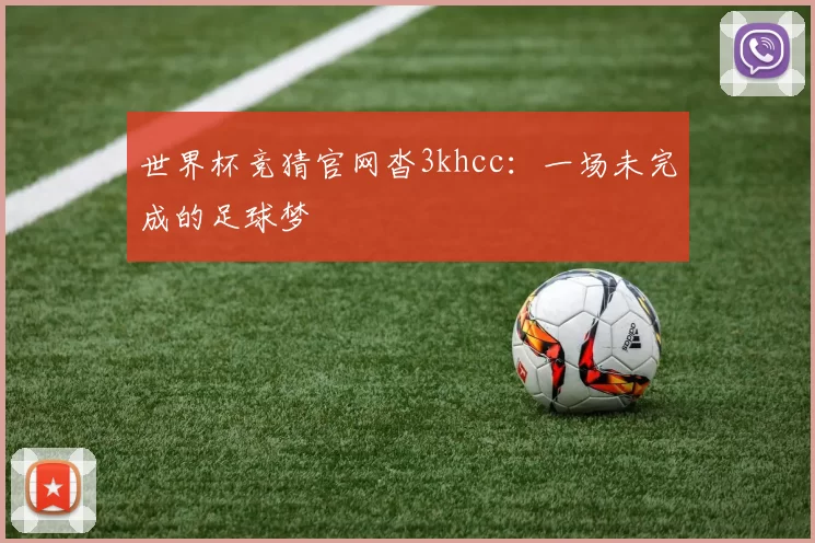 世界杯竞猜官网沓3khcc:一场未完成的足球梦