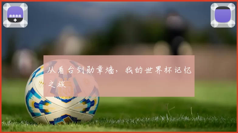 从看台到勋章墙,我的世界杯记忆之旅