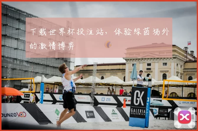 下载世界杯投注站,体验绿茵场外的激情博弈