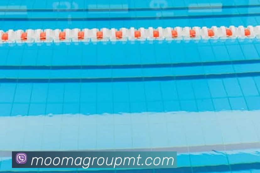 多媒体互动体验